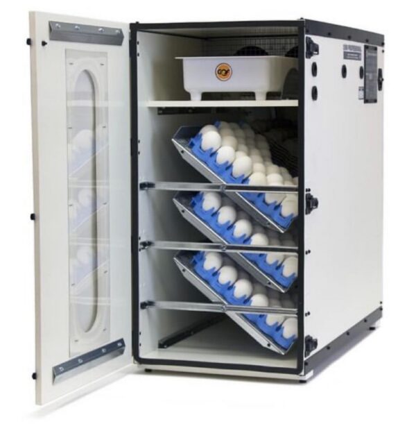 Incubator Cabinet Incubator