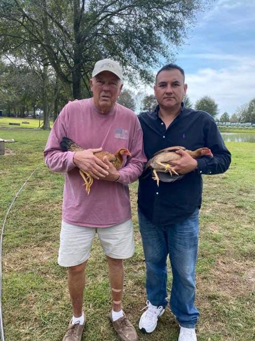 Gulf Haven Farm Yard